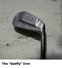 The "Gadfly" Iron